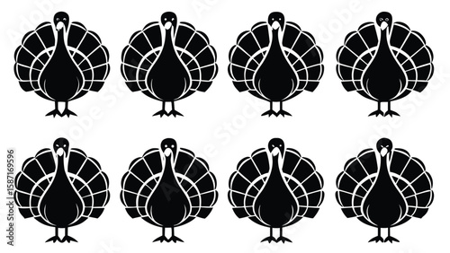 Black turkey graphic illustrations bird fowl