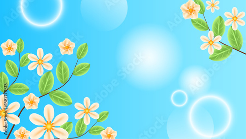Light yellow flowers on branches against blue sky for nature backgrounds, spring themes, garden designs, botanical prints, and floral banners.