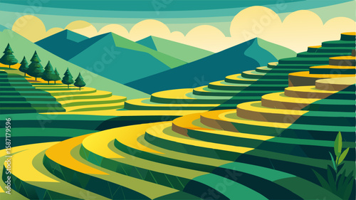 The terraced fields seem to go on endlessly each level carefully crafted by hand to allow for efficient and sustainable farming.