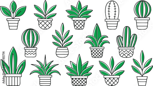 Collection of potted green houseplants and cacti potted plants