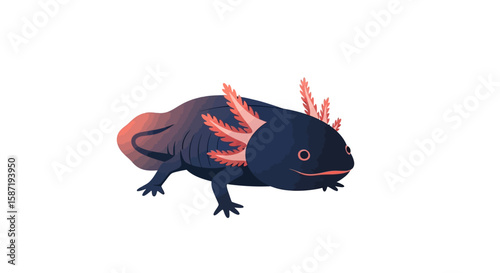 A charming illustration of a dark blue axolotl with feathery pink gills on a white background.