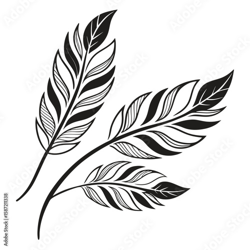 Ornamental feather design