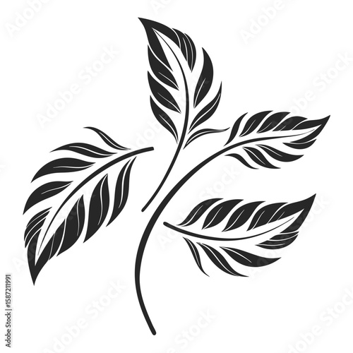 Ornate black leaves design element