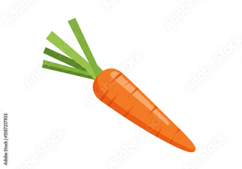 A single vibrant orange carrot with green leafy tops on a white background