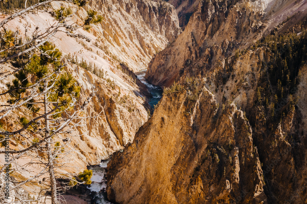 Fototapeta premium Lower Falls Yellowstone during Fall