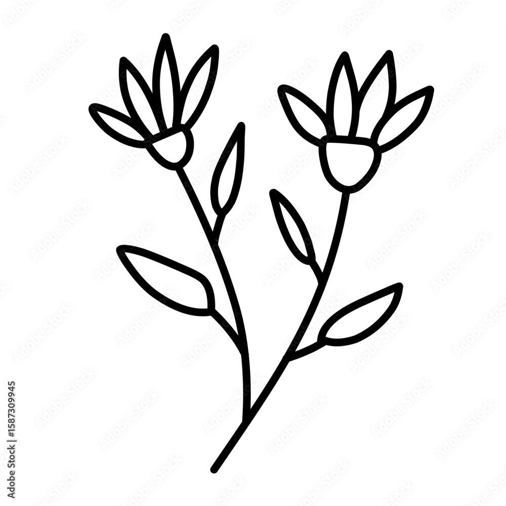 Obraz premium vector illustration of a flower 