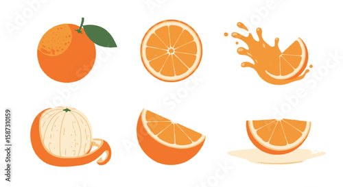 Orange Citrus Variety: Fresh Fruit Vector Set