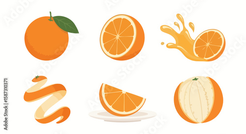 Orange Slice Set: Fresh, Vibrant, and Versatile Vector Graphics