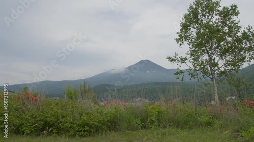 レンゲツツジと蓼科山