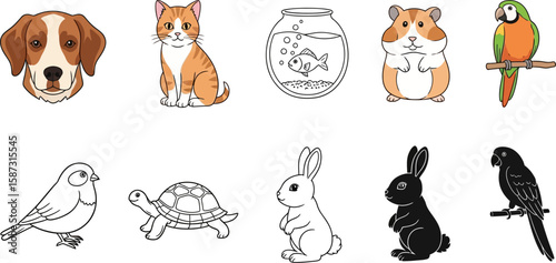 Illustrated collection showcasing diverse domestic pets, including mammals, birds, reptiles, and fish on white.