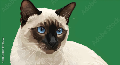 Realistic Siamese Cat Portrait Vector with Blue Eyes Isolated on Green Screen