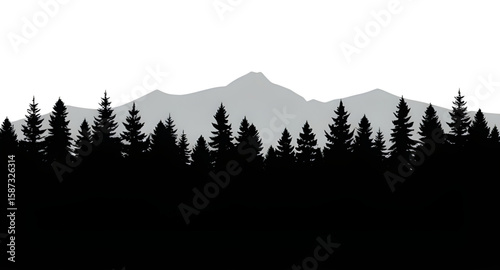 forest, landscape, trees, background, nature, scenery, woods, green leaves, sunlight, foliage, natural view, serene, peaceful, outdoor, wilderness, forest path, dense trees, moss, branches, canopy, sh