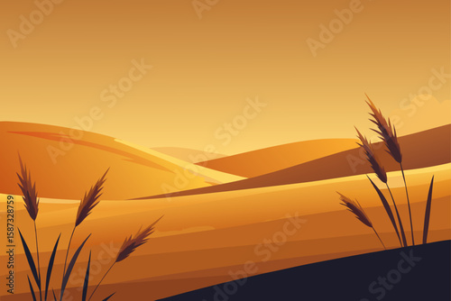wheat field in sunset