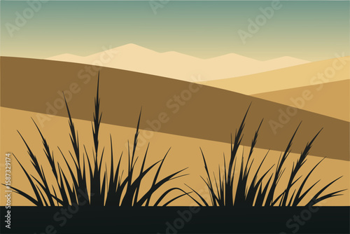 sunset in the dunes