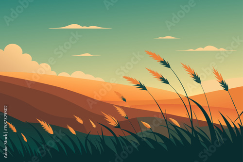wheat field and sunset