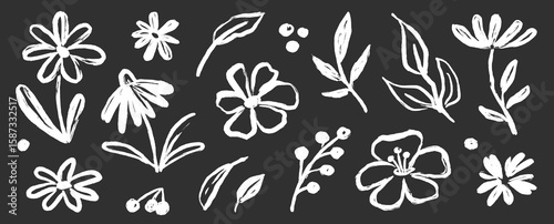 Flower brush paint stroke set. Hand drawn floral flower, leaf graffiti elements in brush paint silhouette set. Vector black ink stroke doodle floral texture sketch spring pattern. Vector illustration