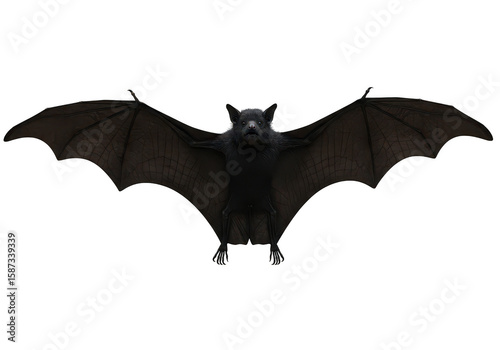 A detailed black bat with wings spread wide isolated on transparent background