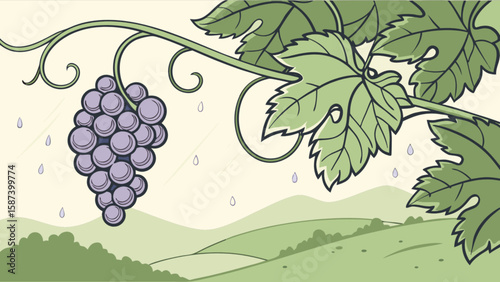 Illustration of grape vine with leaves and rolling hills landscape background for wine or juice label design