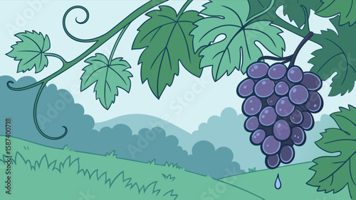 Illustration of grapes on vine with leaves in vineyard for wine making and fruit harvest season