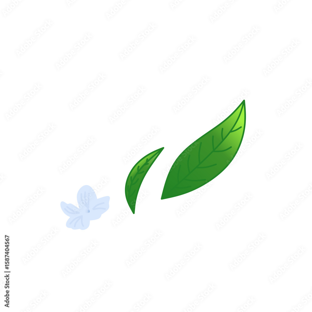 Naklejka premium Green Leaf Icon, Minimalist Jasmine Tea Leaves and Flower Illustration. Flat Botanical Vector Design