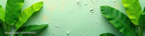 Vibrant green banana leaves, rough stucco backdrop, pattern, summer, visual