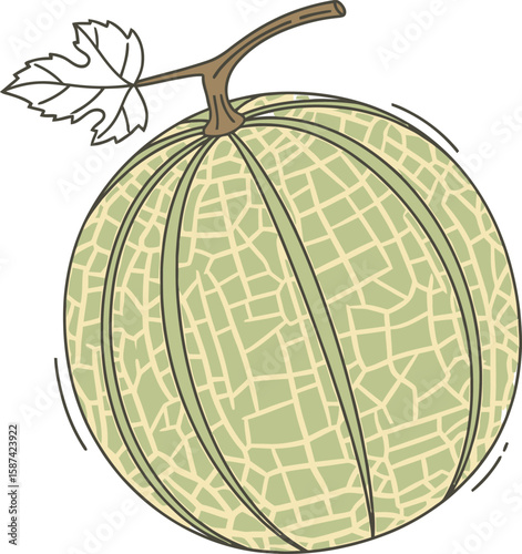 Illustration of a cantaloupe melon with a stem and leaf, featuring a textured rind pattern.