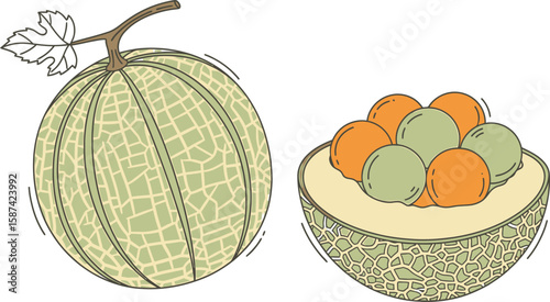 A whole and a halved cantaloupe, showing the rind, seeds, and flesh of the fruit.