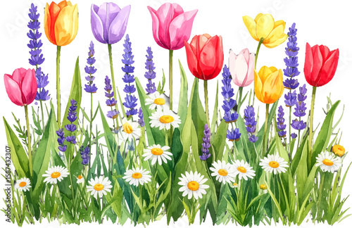 Watercolor tulips and daisies spring flowers. Vibrant floral watercolor garden in bloom. Colorful spring tulips and lavender scene. Hand-painted flowers in green grass field
