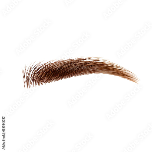 Artificial brown eyebrow on a black background