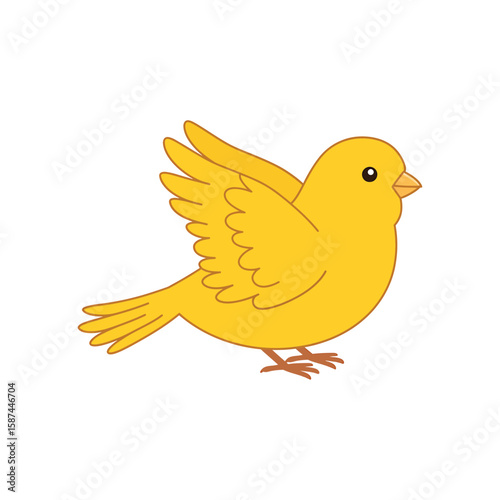 A small yellow canary with delicate feathers is isolated on white background