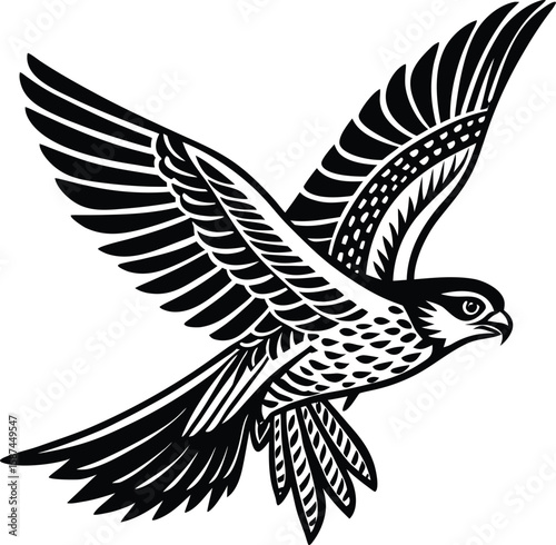 Majestic falcon soaring with spread wings in black and white bird flight