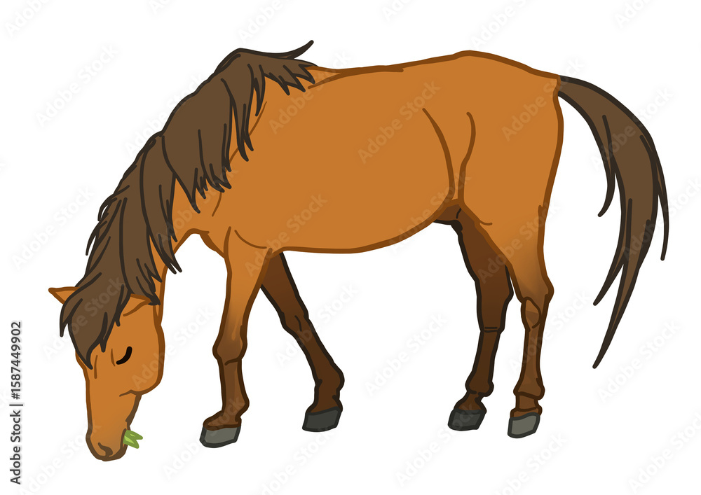 Fototapeta premium 草を食べる与那国馬 鹿毛 馬 ポニー