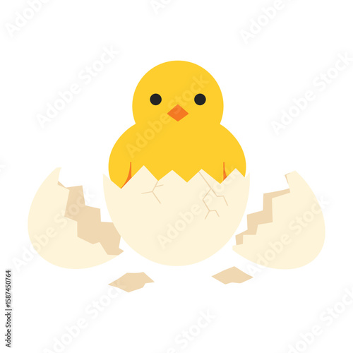 A charming yellow chick emerging from a cracked egg, isolated on white background, representing new life and easter