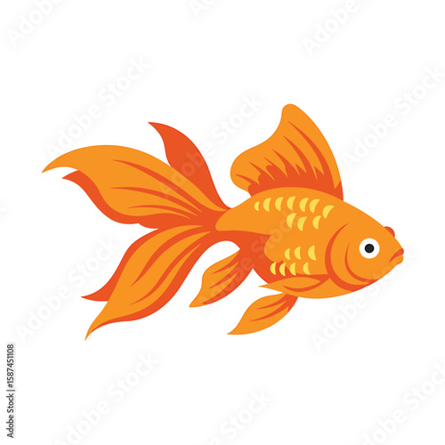 A bright orange goldfish swims gracefully, isolated on white background