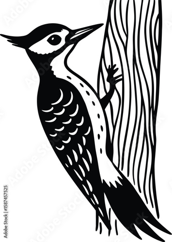 Black and white illustration of a woodpecker clinging to a tree trunk bird
