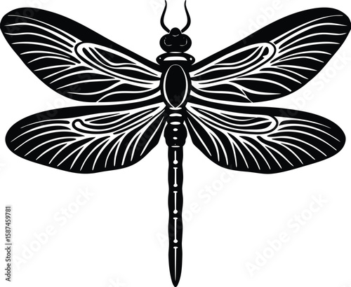 Intricate black dragonfly silhouette with detailed wings and segmented body insect white