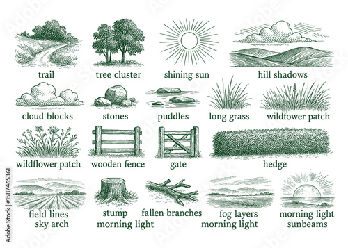 Engraved Collection of Nature and Landscape Illustrations with Path, Sun, Sky, Trees