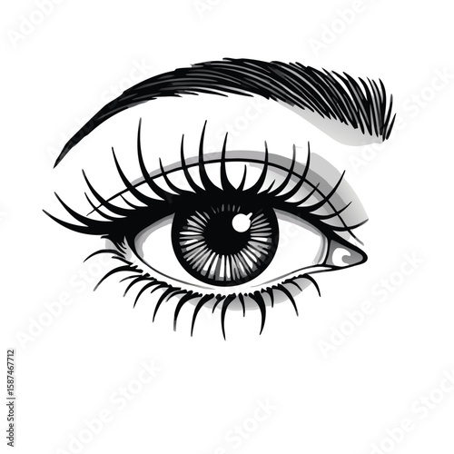 Detailed human eye with long lashes and eyebrow iris pupil