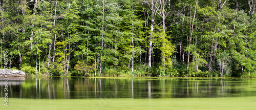 Panoramic view of lush green scenic nature preserve of Delaware Water Gap National Recreation Area in Pennsylvania .
