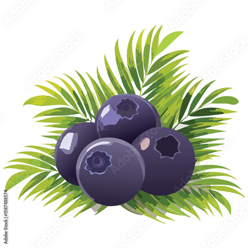 Fresh Acai, Antioxidant Rich