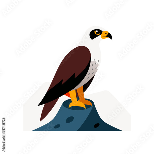 falcon perched on mountain rock hand drawn 