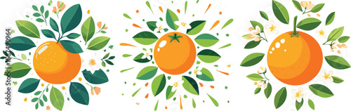 Citrus Oranges, Bright & Healthy