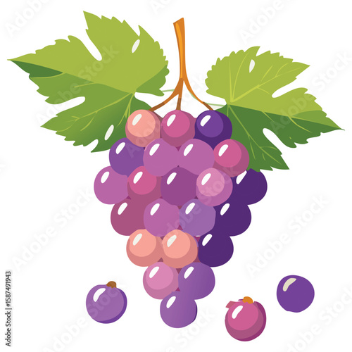Red Grapes, Antioxidant Delights