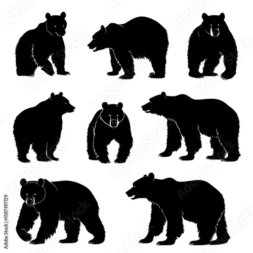 Bears & Large Land Mammals black silhouette isolated on a transparent background