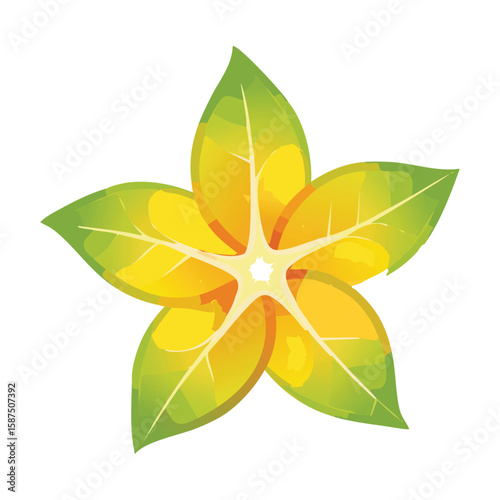 Carambola Fruit, Exotic Garnish