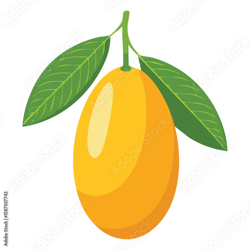 Miniature Kumquats, Flavorful & Healthy