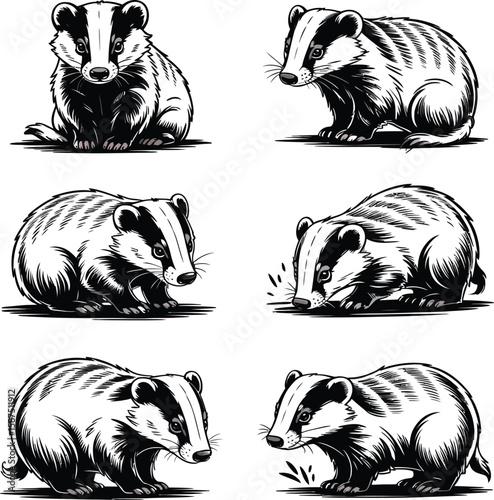 Collection of six stylized black and white badger illustrations in various poses