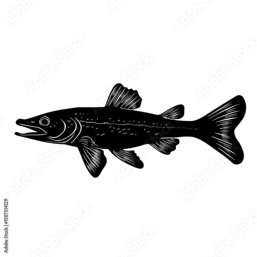 Gar black silhouette isolated on a transparent background