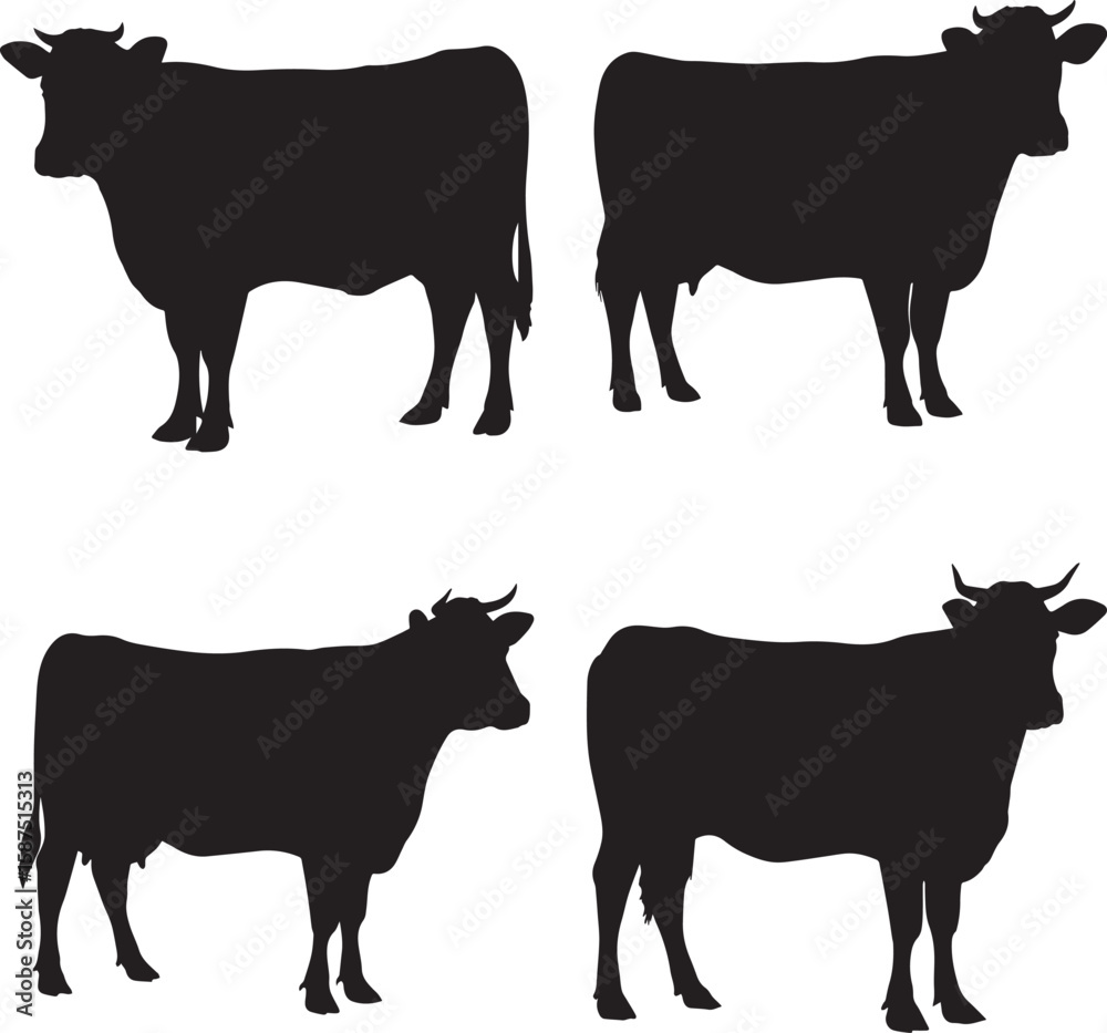 Fototapeta premium Set of Cow centered with sim silhouette vector illustration
