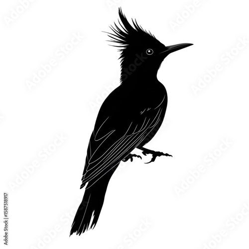 Hoopoe black silhouette isolated on a transparent background